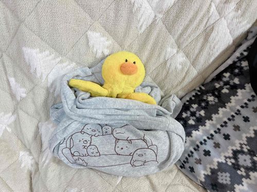 ぴよぴよ🐤