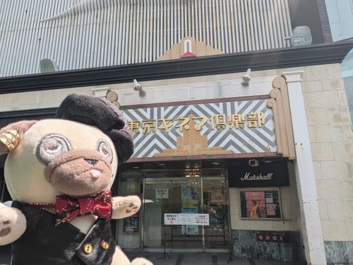 らいぶにいってきた きねまくらぶにふさわしい いでたちのぱぐ