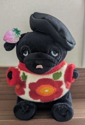すずしくなってきたので あたたかいとれーなーに ころもがえした ぱぐろうくん(黒)