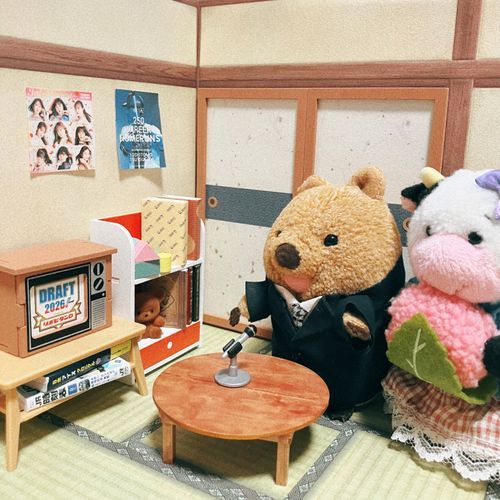 いよいよ どらふと かいぎ はじまるワラビーよ！ いつ よばれても いいように じゅんび ばんたん！ どきどき ワラビーよ… 