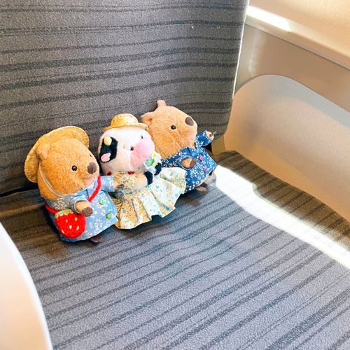 みんなで おでけけ しんかんせん！どこ！？どこにいくワラビー！？わくわくわく