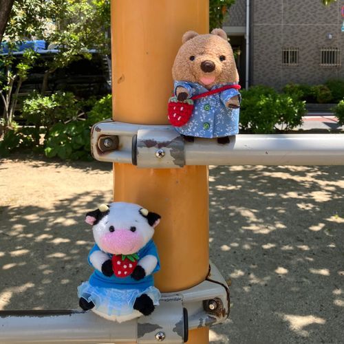 おさんぽびよりワラビーね♡