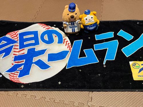 たたたたいへん！ぷろやきゅうにゅーすの ぷれぜんとが あたった ワラビーよ！ きょうの ほーむらん たおる⚾️ こりゃ やきゅう みにいくしか ないワラビーね！