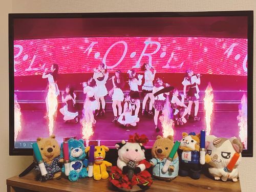 きのうは げんちで、きょうは はいしんで あもーれしたワラビーよ💃 ♪ あもーれ みあもーれ いちばんの うーちゃんをみて〜♪