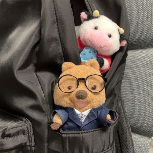 おかあちゃんの しゅっしゃに ついてきちゃったワラビーよ♡ びじねすわらびー どう？ いけてるワラビー？👔
