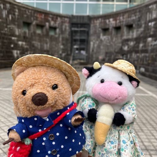 てれびで みたこと ある ばしょ に きたワラビーよ！ ふね を なおす ところ だったみたい？