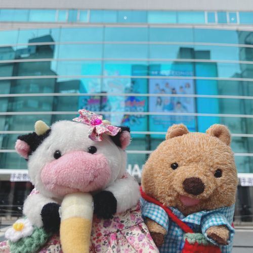きのうは びよーんずの こんさーとを みに よこはまありーなに いってきたワラビーよ♡ くるみん そつぎょう…おめで…うわーん😭