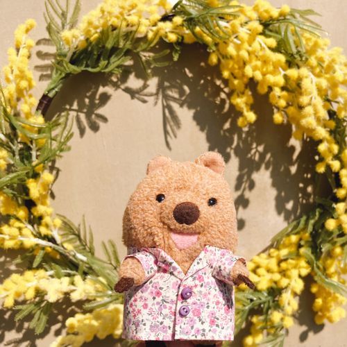 こにちは！ みなさん おげんきワラビー？ 🌼