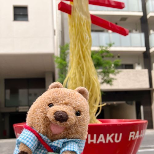 でっかい らめーん🍜 みんな なにらめーん おすきワラビー？ わらびーは… おみそも…おしおも…うーん…えらべない♡