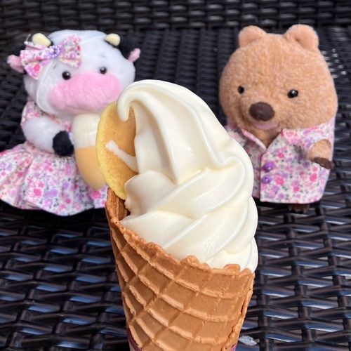 ふなわかふぇで たべた おいもの そふとくりーむ🍦🍠  おいもの ぱりぱり したやーつ も いい あくせんと だったワラビーねぇ♡