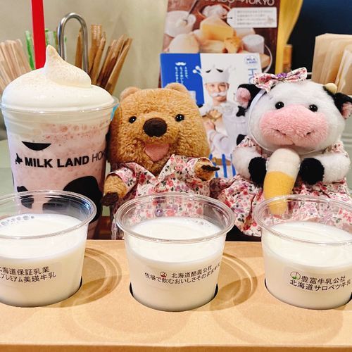 ぎゅうにゅうの のみくらべ したワラビーよ🥛 わらびー あんまり わかんない♡ どれでも おいし♡