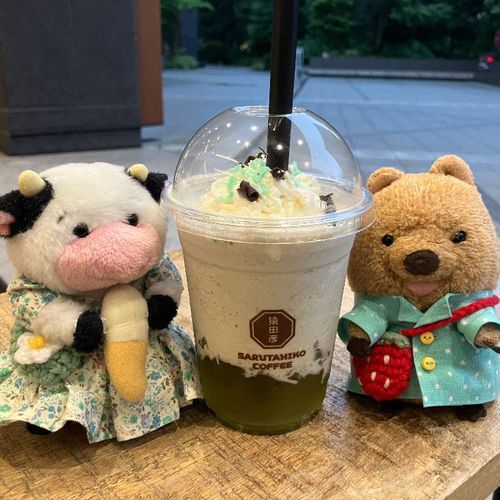 さるたひここーしー！しゃれおつな みんとのやーつ のんできたワラビーよ🌿 おかあちゃんは もっと はみがき みたいな ばちばちの みんとが いいんだって！