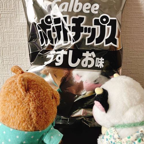 これが うわさの しろくろちっぷす… やきゅうの かーどは ついてないワラビー？ さみしいから わらびーが なんか かいたげる！