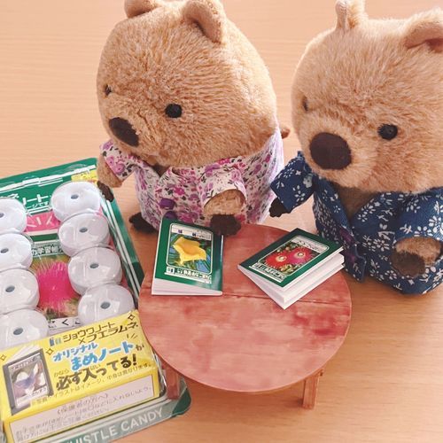 ふえらむねの おまけに われわれ さいずの のーと📓 でも われわれは のーとより らむねが きになるワラビーねえ