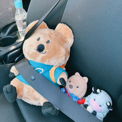 はじめての どらいぶ はじめましての おともだち きんちょうを かくせない われわれ🐮🚗
