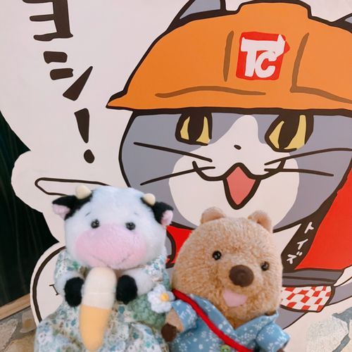 よし！ …この ねこさんに いわれると ほんとに よし なのかなって ふあんに なっちゃうワラビーね…