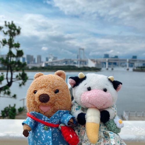 おでいば！ うみかぜ きもちがいいワラビーねぇ♡ かんこう しにきた と おもった？ がちゃがちゃ だけ まわしたら さっさと かえるワラビーよ！！こんでるから！