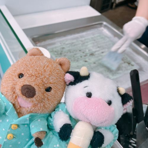 ろーるあいすやさん🌀 あいすを こねこね くるくる してもらってるワラビーよ🍨