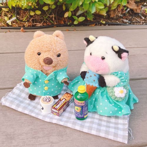 あにびーの いない ぴくにっくは のんあるワラビーよ☕️