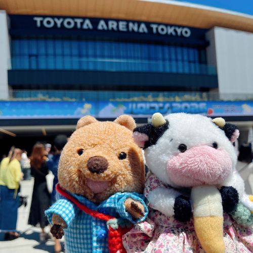 はろぷろ の はろこん みてきた ワラビーよ！おかあちゃん おたくの ましんがんとーく のんすとっぷ😆 ふーるー はいってるひとは はいしん みられるワラビーよ、もれミ するワラビーよ💃