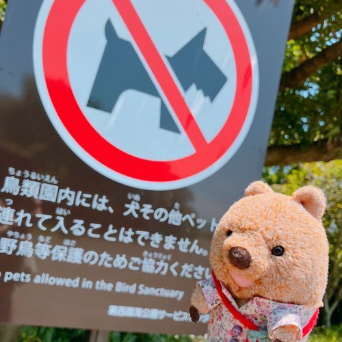 わんちゃんは はいれないの… わらびーは はいれる？ おこられないワラビー？