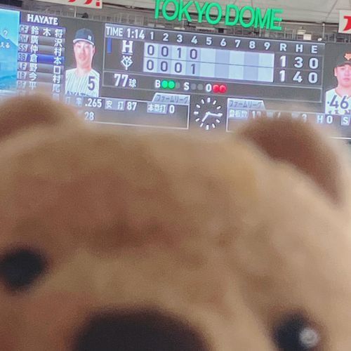 ほんじつ おかあちゃんは なつやすみを えんじょい してきたワラビーよ♡ きゃぷてん かつやくして はやてべんちゃーずが かって おおよろこび💃