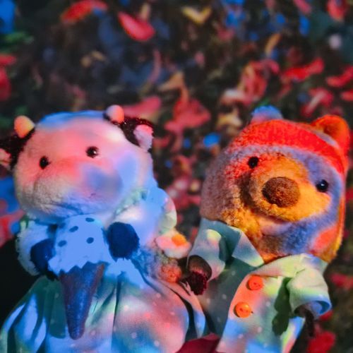 ぎゃらくしーはらじゅくで むりょうで ちーむらぼを たいけんできる ワラビーよ♡ かべを さわると おはなが さいたりして たのしかったの♡