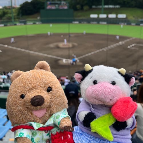 きのうの おでかけは またしても やきゅう かんせん⚾️ またしても ふぁーむ！ はやてべんちゃーず がんばるワラビーよ♡ うーちゃん、やきゅう ばっかりで だいじょぶそ？たのしいワラビー…？