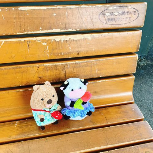 うーちゃん おでかけ やきゅう ばっかりで ごめんね… じつは こんしゅうまつも やきゅうなんだけど… でもこんどは いちぐんだから！きっと たのしいワラビーよぉぉぉ！