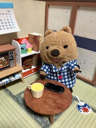 わらびーの おへやが できたのよ！どう？ てれびも げーむも あるワラビーよ♡ じぶんだけの おしろ🏯  あそびに きてくれたら おもてなしするワラビーよ！