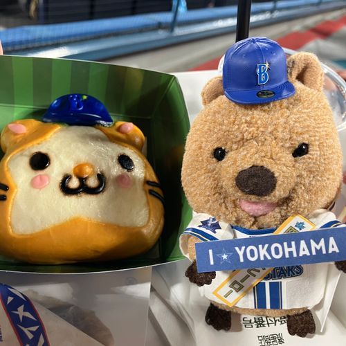 はますたに やきう みにいってきたワラビーよ！せっかく ひーろーいんたびゅーの かっこ していったのに、べいすたーず まけちゃった けど、すたーまんちゃんの すたーまん も たべられたし たのしかった♡
