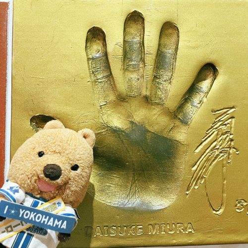ばんちょうの おてて でっかすぎてびっくりワラビーよ✋