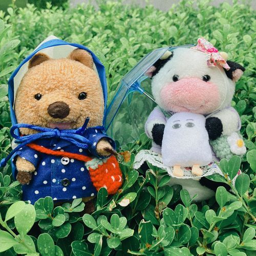 あめのひに おでかけした おさしん なんだけど、ちゃつみ する みたい？って いわれたワラビーよ🌿たしかに？