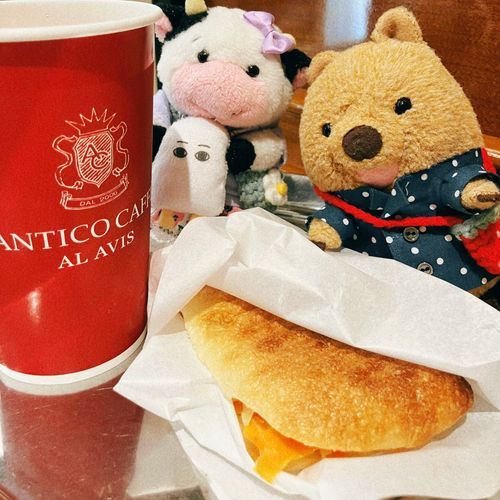 おいしいと わだいの すぴなっち ぱにーに うりきれてたの…でも にんじん ぱにーにも めちゃくちゃ おいしかった ワラビーよ🥕 こんどは もっと はやい じかんに いくんだから！ 