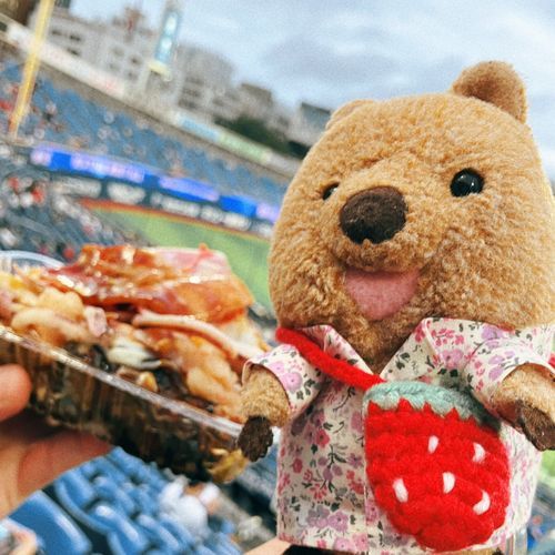 また はますた いってきたワラビーよ♡ おとうちゃんは ひろしまを くってやる！って おこのみやき！なのに まけちゃったワラビーよ…どんまい…
