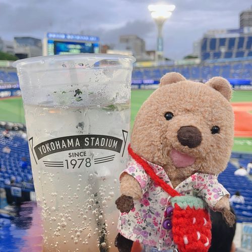 あめのひは どりんく ぞうりょう なんだって！そんなに ふってないのにねー？なんて このときは よろこんでたワラビーよ… このあと ずぶぬれに なるとも しらずに… 