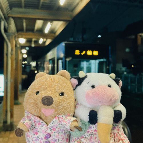 はじめて とでん あらかわせんに のった ワラビーよ🚃 ちっちゃくて のすたるじー！ べんりワラビーねぇ♡