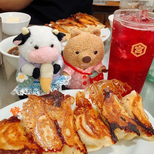 ほわー！ぎょうざ ていしょく🥟 なんとまあ もちもちで ぱりぱりなんでしょう！ならんだ かいが あったワラビーねぇ♡