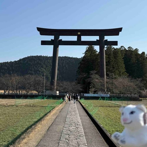 猫さんと熊野古道を歩いた時の写真②
大鳥居とねこさん(ピンぼけ)