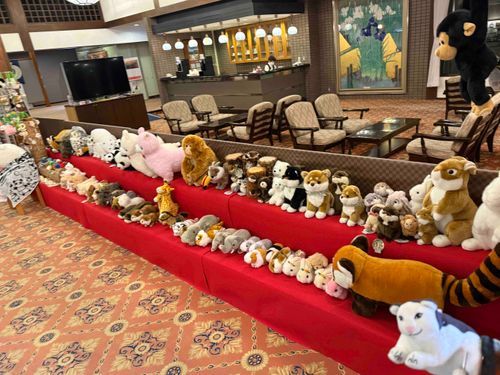 猫さんと熊野古道を歩いた時の写真③
泊まった旅館に多くの仲間たちが😹
