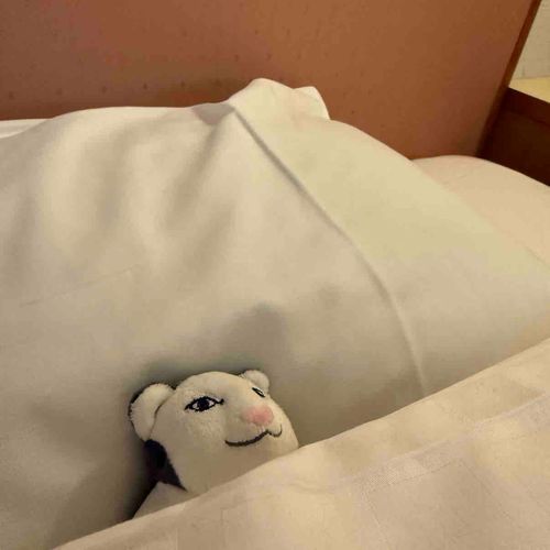 寝てる時瞼開いてるタイプ