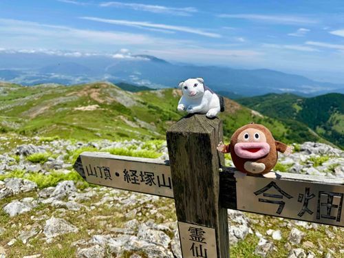 お友だちのチョコ山くんと山登りした時の猫さん🐈🏔️