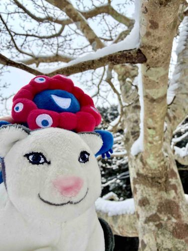 ミャクミャクと山に登って来たよ🐈
寒すぎない？