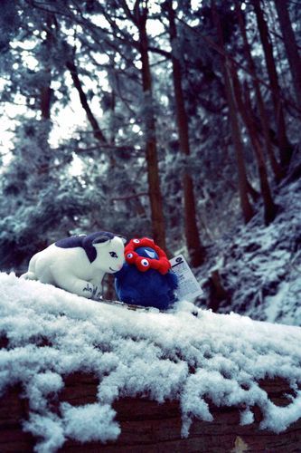 猫さんとミャクミャクさん
倒木の上で一休み…
おしりが雪まみれになりました🐈