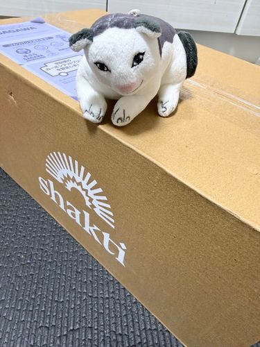 こ、この箱は…⁉️