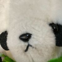 パンプー