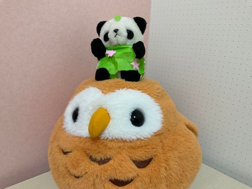 ふくろうくんと遊んだよ
