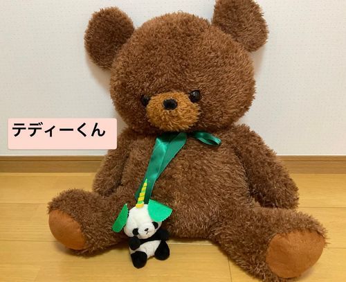 あたらしいおともだちのテディーくん！テディーくんもおっきー(￣Д￣)