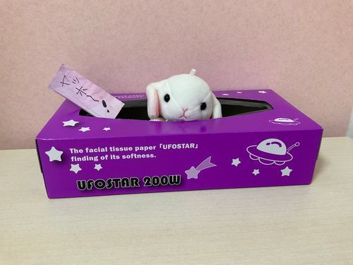 こんにちはかなー？こんばんはかなー？
私の名前はうさだよー！みんなからはうさちって呼ばれてるよー(^^)よろしく！