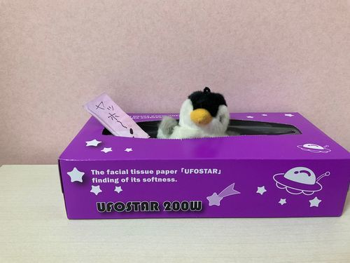 みんなヤッホー！ぺみゅーだよー
みんなからぺっちゃんって呼ばれてるよ
これからよろしく〜